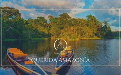 Algunas pautas para entender el documento: Querida Amazonía