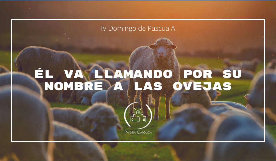 Él va llamando por su nombre a las ovejas – IV Domingo de Pascua