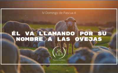 Él va llamando por su nombre a las ovejas – IV Domingo de Pascua