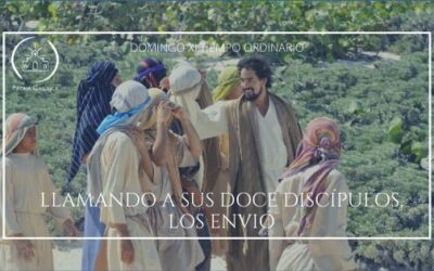 Nos envía a mostrar su misericordia – XI Domingo del Tiempo Ordinario