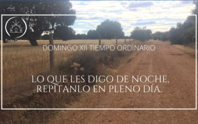 Como en el desierto – XII Domingo del Tiempo Ordinario