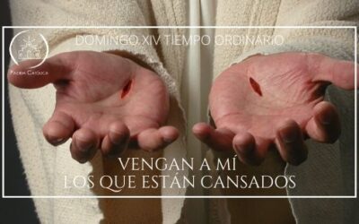 Vengan a mí los que están cansados – Domingo XIV del Tiempo Ordinario