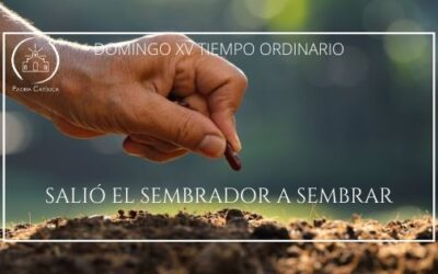 Salió el sembrador a sembrar – Domingo XV del Tiempo Ordinario