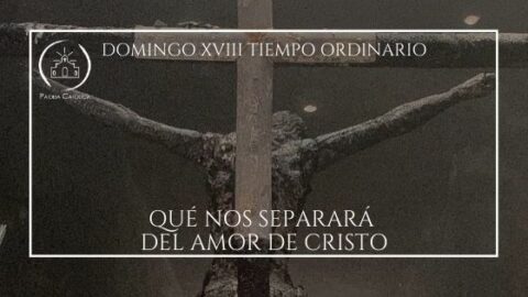 ¿Qué Nos Separará Del Amor De Cristo? - Domingo XVIII Del Tiempo ...