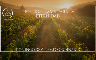 DIOS NOS LLAMA PARA LA ETERNIDAD – XXV DOMINGO DEL TIEMPO ORDINARIO (A)