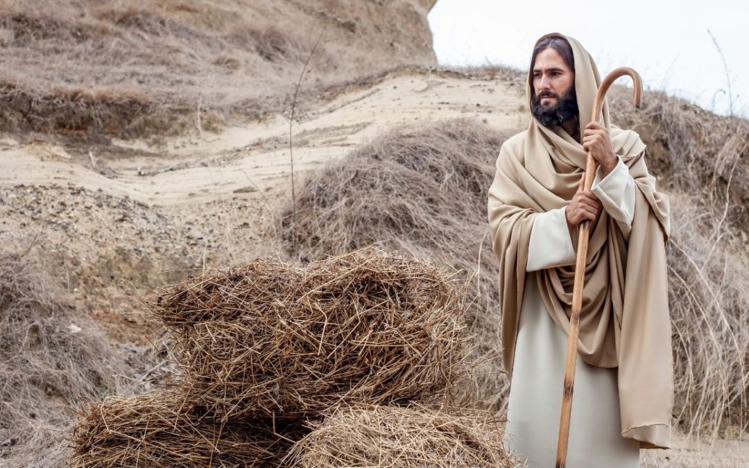 Mis ovejas escuchan mi voz – IV Domingo de Pascua (C)